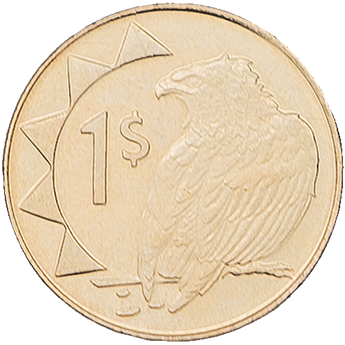 1 Dollar Coin