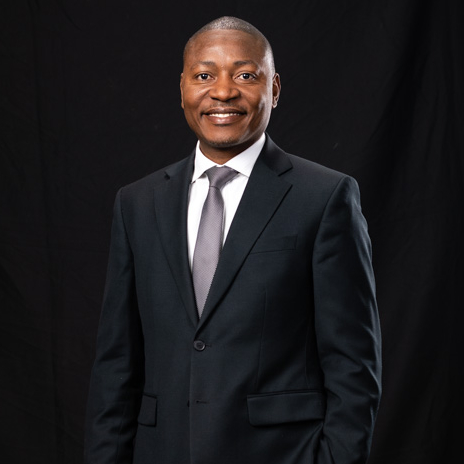 THE INSTANT PAYMENT REVOLUTION