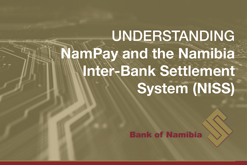Understanding NamPay and the NISS